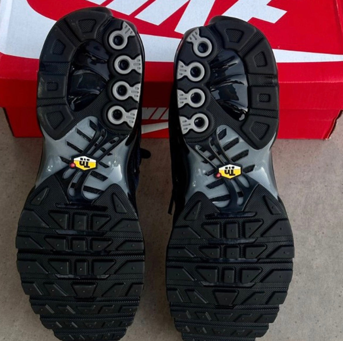 Nike Air Max Plus Paris