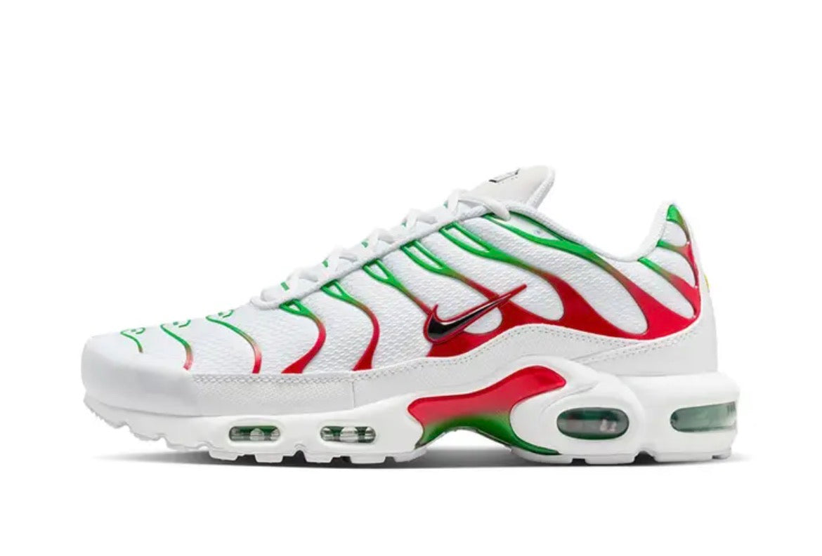 Nike TN Air Max Plus “ Italy “
