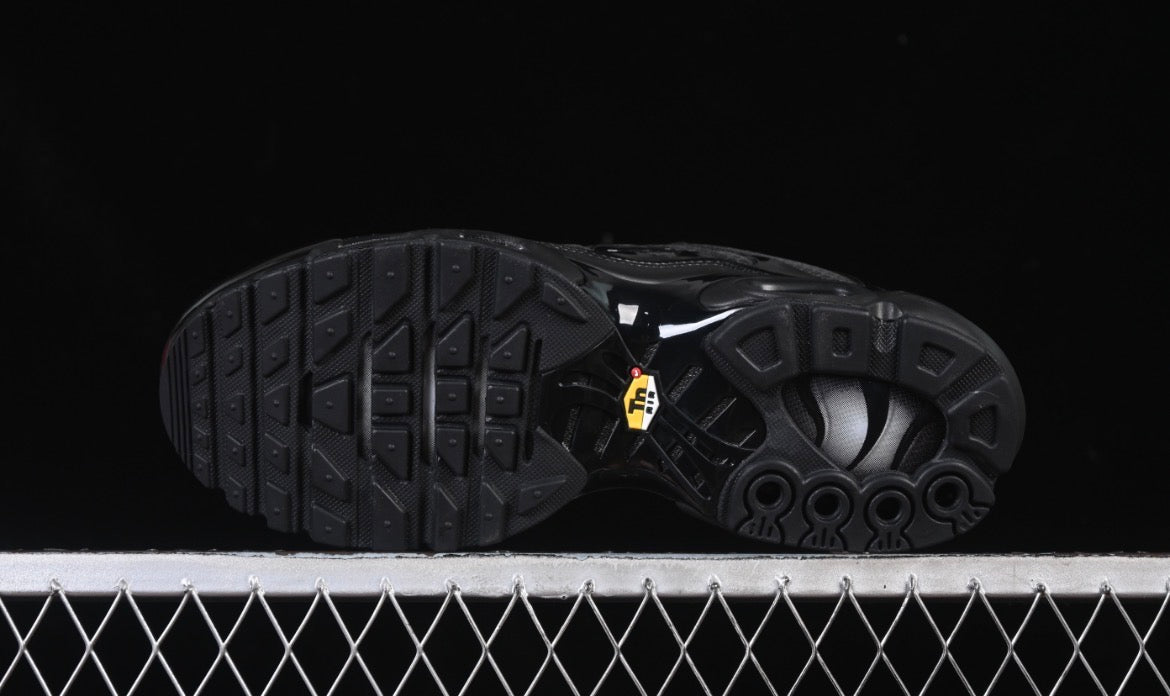 Nike Air Max Plus Black