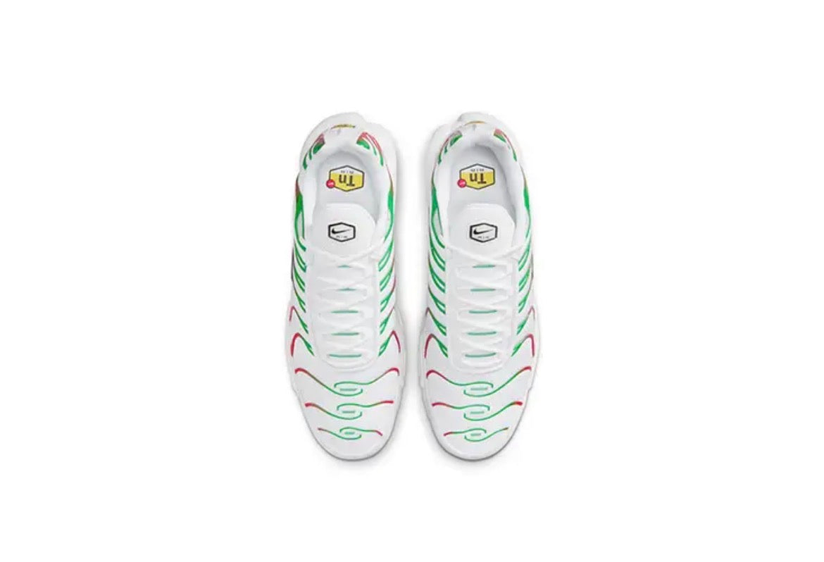 Nike TN Air Max Plus “ Italy “